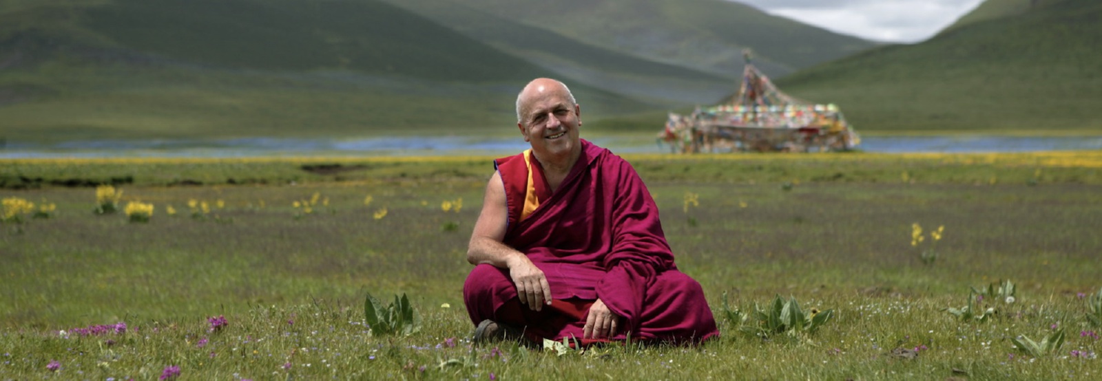 Matthieu Ricard's latest book